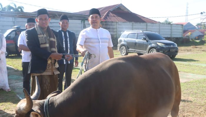 Iduladha 2025: Polresta Kendari Serahkan Puluhan Ekor Hewan Kurban