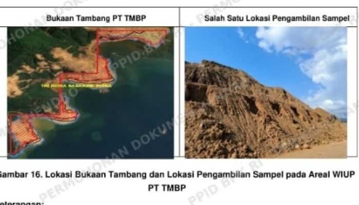 Izin Belum Terdaftar di MODI, PT TMBP Sudah Buka Tambang di Kawasan Hutan Kolaka