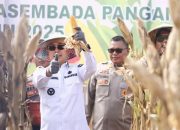 Gubernur Sultra Hadiri Panen Raya Jagung Serentak Kuartal II 2025 di Konawe Selatan: Dorong Kemandirian Pangan Daerah