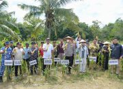 Wakil Ketua II DPRD Kota Kendari Hadiri Panen Raya Jagung Serentak Kuartal II 2025, Dukung Ketahanan Pangan