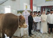 Wali Kota Kendari Serahkan Sapi Kurban dari Presiden RI ke Masjid Babussalam
