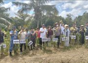 Wawali Kota Kendari bersama Kapolresta Lakukan Penen Raya Jagung Serentak Kuartal II Tahun 2025