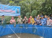 Wali Kota Kendari Lakukan Panen Perdana Ikan Nila Sistem Bioflok di Kelurahan Baruga