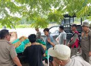 Langgar Ketentuan Pemanfaatan Ruang Bublik, Satpol PP Kota Kendari Tertibkan PKL dan Bangunan Liar di Dua Lokasi