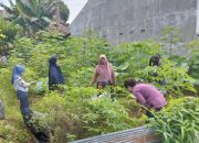 Camat Puuwatu Gerakkan Masyarakat Dukung “Kendari Berkebun” untuk Dorong Ketahanan Pangan Keluarga