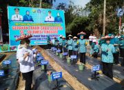 Gerakan Tanam Cabai di Kelurahan Purirano, Upaya Tingkatkan Ketahanan Pangan dan Kendalikan Inflasi