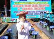Tekan Laju Inflasi, Pemkot Kendari Siapkan 12 Hektare Lahan Pertanian Kota