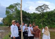 Distan Kota Kendari Bersama BRIN Bangun Rumah Burung Hantu Usir Hama Tikus di Persawahan Amohalo