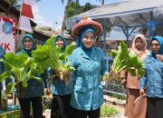TP PKK Kota Kendari Dorong Pemanfaatan Lahan Pekarangan Lewat Program Kendari Berkebun