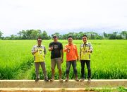 Dorong Kemandirian Ekonomi Lokal, PT Vale Hadirkan Livelihood Restoration Program di Pomalaa Membangun Masa Depan Berkelanjutan melalui Peningkatan Taraf Hidup Masyarakat