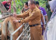 Cegah Penyakit Ternak, Dinas Pertanian Kendari Gelar Pelayanan Kesehatan Hewan Terpadu