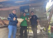 CSR PT ANTAM Konawe Utara Dongkrak Ekonomi Peternak Ayam di Desa Awila
