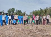 Dukung Program Ketahanan Pangan, Kodim 1412/Kolaka Bersama Mahasiswa, Camat dan Kapolsek Gelar Penanaman Jagung di Kolaka Timir
