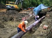 Pulih Bersama, Bangkit Lebih Kuat: PT Vale dan Masyarakat Towuti Menapaki Jalan Pemulihan Berkelanjutan