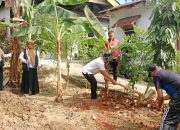 Distan Kendari Dilibatkan Dampingi Masyarakat Penanaman Toga di Tiga Titik Pantau pada Verifikasi Kota Sehat 2025