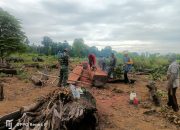 Anggota Kodim 1412/Kolaka Bersama Masyarakat Buat Papan Kayu Persiapan Pembangunan Jembatan TMMD di Kecamatan Ueesi