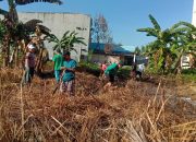 Manfaatkan Lahan Kosong, Pemerintah Kelurahan Anaiwoi Sulap Pekarangan jadi Kebun PKK