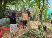 Kadis Pertanian Kendari Kunjungi Kebun Dasawisma di Kelurahan Pondambea, Dorong Pemanfaatan Lahan Kosong