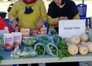Pasar Tani, Cara Pemkot Kendari Dekatkan Antara Produsen dan Konsumen 