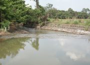 Wujud Nyata Pemulihan di Towuti, PT Vale Tuntaskan Enam Titik Penanganan Tumpahan Pipa Minyak