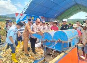 Kolaborasi Polda Sultra, Pemda Konut dan PT AKP Panen Raya Jagung Kuartal IV di Desa Tambakua