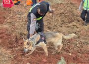 Polri Kerahkan Anjing Pelacak dalam Pencarian Korban Longsor Cilacap