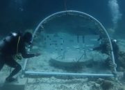 BI Sultra Tanam Terumbu Karang di QRIS Point, Padukan Digitalisasi dan Pelestarian Laut Wakatobi