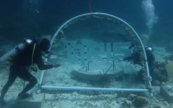 BI Sultra Tanam Terumbu Karang di QRIS Point, Padukan Digitalisasi dan Pelestarian Laut Wakatobi