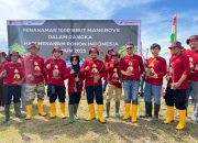 Pertamina Patra Niaga Sulawesi Tanam 1.000 Mangrove di Kendari untuk Wujudkan Ekosistem Pesisir yang Lebih Tangguh