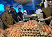 Satgas Pangan Sultra Pantau Harga dan Stok Sembako Jelang Natal 2025 dan Tahun Baru 2026