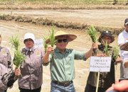 PT Vale Bangun Kolaborasi Hadirkan Pertanian Berbasis Inovasi di Kolaka