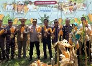 Polda Sultra Gelar Panen Raya Jagung Pakan Kuartal IV 2025 