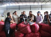 Satgas Pangan Sultra Gelar Sidak Pantau Harga, Stok, dan Mutu Pangan