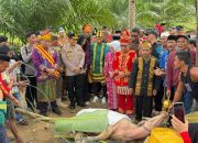 Lestarikan Tradisi Suku Tolaki, Lembaga Adat Tolaki Kolaka Timur Gelar Ritual Adat “Mosehe Wonua”