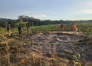 Perusahan Sawit di Konsel Gusur dan Bakar Rumah Petani, Walhi Sebut Negara Gagal Lindungi Rakyat 