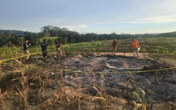 Perusahan Sawit di Konsel Gusur dan Bakar Rumah Petani, Walhi Sebut Negara Gagal Lindungi Rakyat 