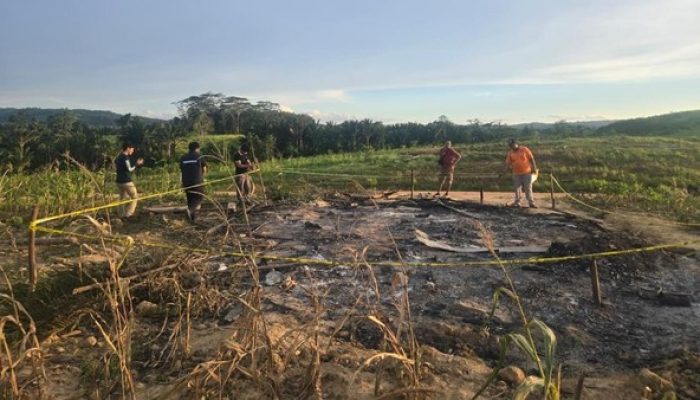 Perusahan Sawit di Konsel Gusur dan Bakar Rumah Petani, Walhi Sebut Negara Gagal Lindungi Rakyat 