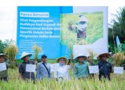 Dukung Asta Cita Presiden dan SDGs Ketahanan Pangan, PT Vale Panen Bersama Demplot Padi Berkelanjutan di Kolaka