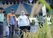 Kemenko Pangan Apresiasi PT Vale Dukung Kolaka Jadi Lumbung Pangan di Sultra