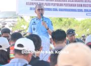 Bupati Kolaka Hadiri Penen Raya Jagung, Perkuat Ketahanan Pangan dan Silahturahmi dengan Petani di Watubangga