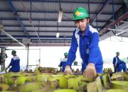 Pertamina Patra Niaga Regional Sulawesi Tegaskan Informasi Pendaftaran Pangkalan LPG Berbayar adalah Hoax