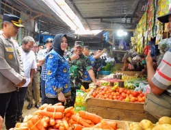 Jelang Idul Adha 1447 H, Pemkot Kendari Ajak Pedagang dan Masyarakat Jaga Stabilitas Harga