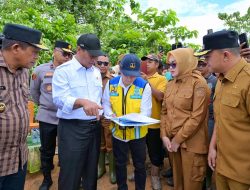 Wali Kota Kendari Dampingi Mentan Tinjau Banjir di Persawahan Amohalo, Apresiasi Respons Cepat Pemerintah Pusat