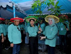 Delegasi UCLG ASPAC 2026 Tanam Pohon di Kebun Raya Kendari, Perkuat Komitmen Kota Hijau Asia Pasifik
