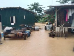 Warga Kelurahan Baruga Terdampak Banjir, Ratusan Hektar Sawah dan Puluhan Rumah Terendam