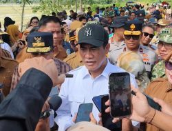 Mentan RI Tinjau Sawah Amohalo Terdampak Banjir, Pastikan Bantuan dan Perbaikan Tanggul Dipercepat
