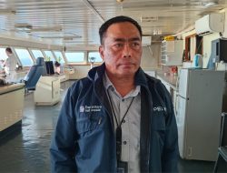 Pelni Baubau Catat Penumpang Capai 7.934 SepekanJelang Idul Adha 2026
