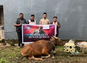 Momen Iduladha 1447 H, The Park Kendari Salurkan Sapi Kurban untuk Warga Sekitar Kawasan Mal