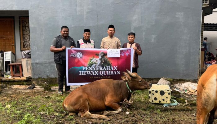 Momen Iduladha 1447 H, The Park Kendari Salurkan Sapi Kurban untuk Warga Sekitar Kawasan Mal
