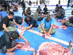 Momen Iduladha 1447 H, Lanud Haluoleo Serahkan 10 Sapi dan 1 Kambing Kurban, Wujud Kepedulian untuk Masyarakat
